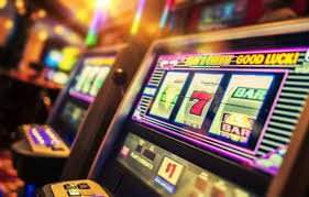 55dd bet