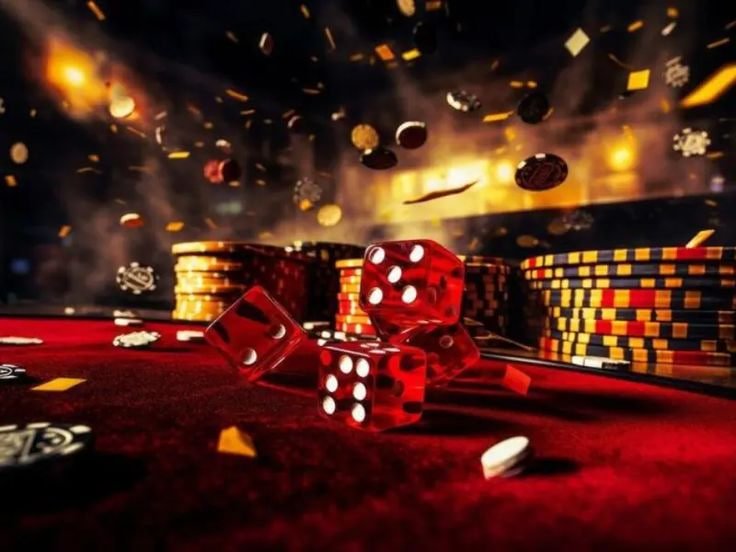 55dd bet